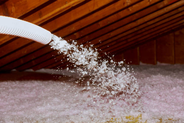 Best Residential Insulation in Nashville, GA
